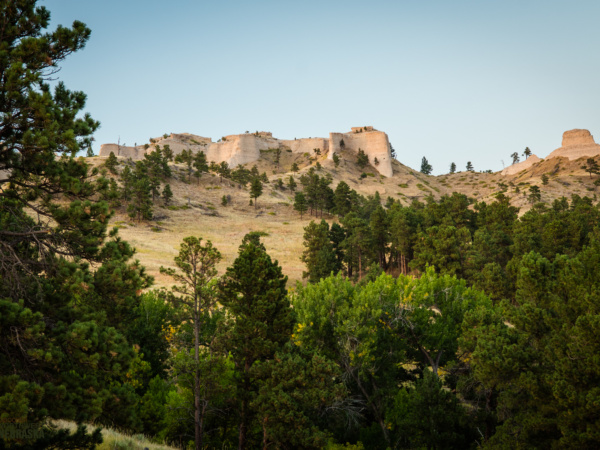 Buttes and trees