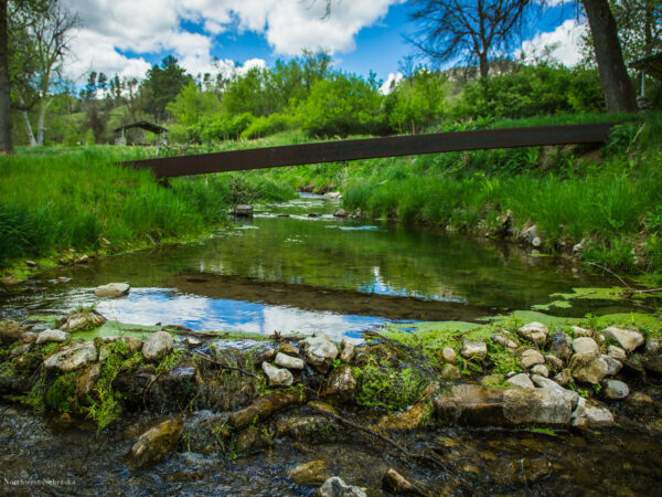 Footbridge over Sowbelly Creek