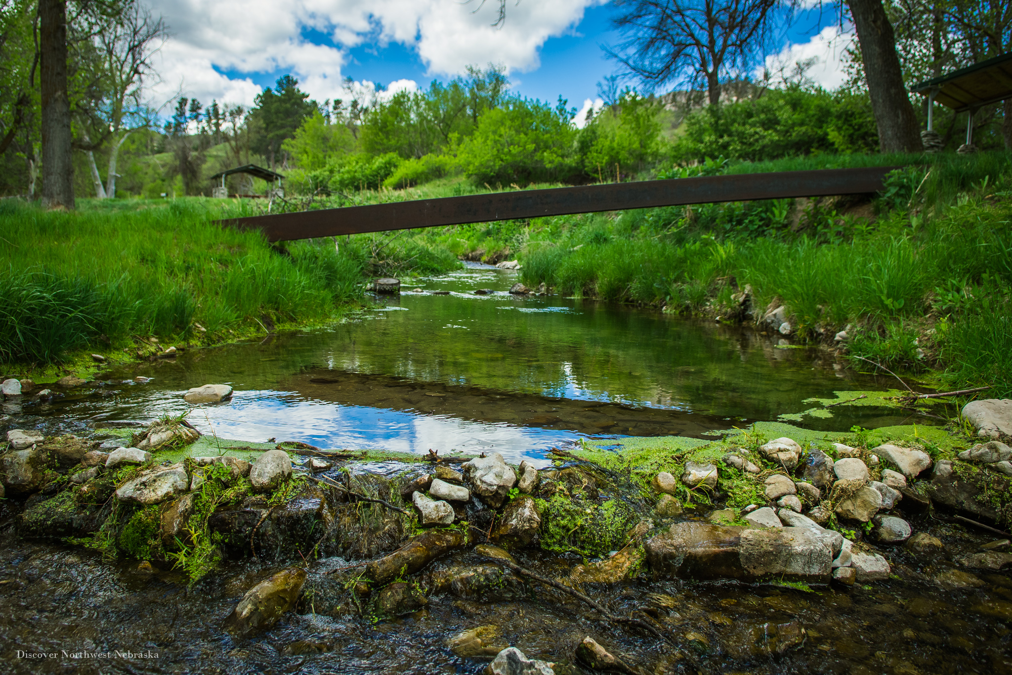 Footbridge over Sowbelly Creek