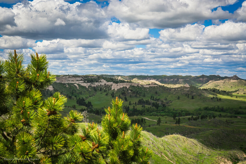 Scenic overlook of buttes with pine trees