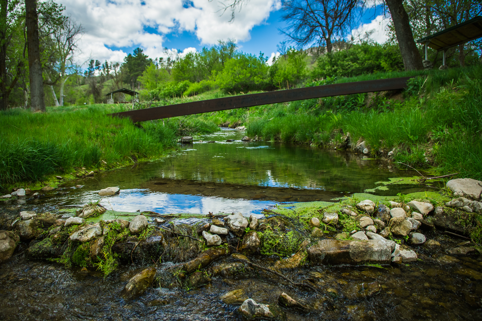 Foot bridge across Sowbelly Creek