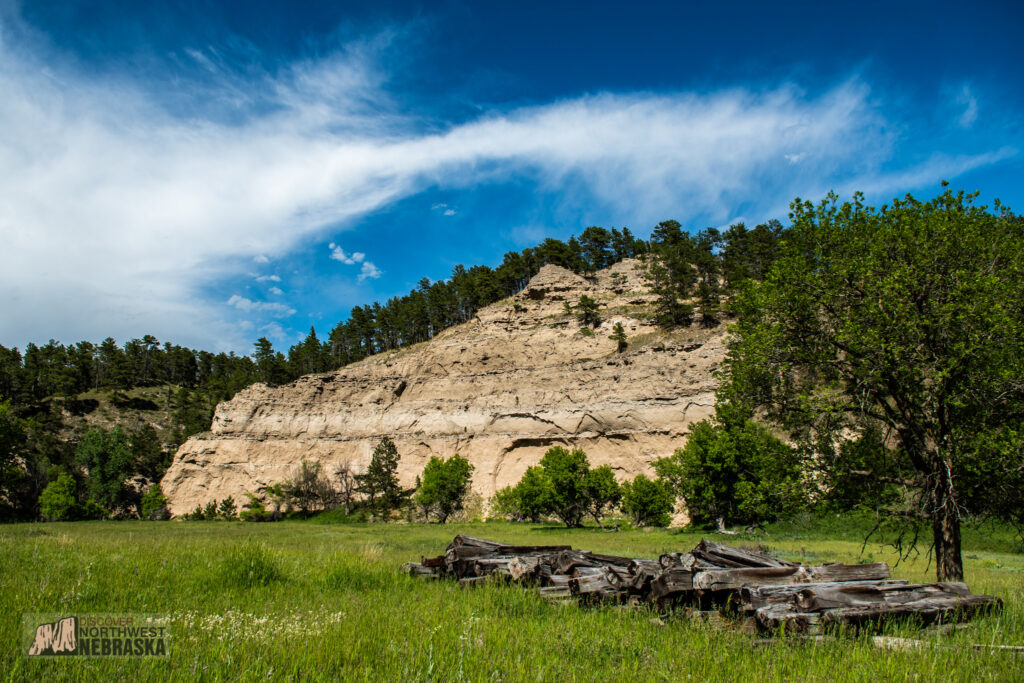 Cliff covered in pine trees