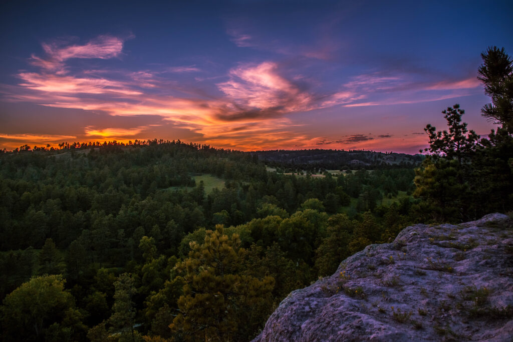 Nebraska National Forest trees at sunset
