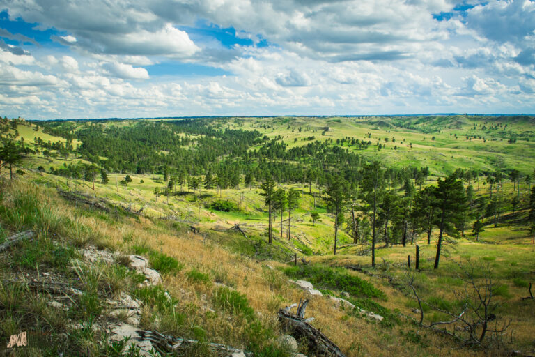 Scenic overlook of pine-covered hills with cloudy sky
