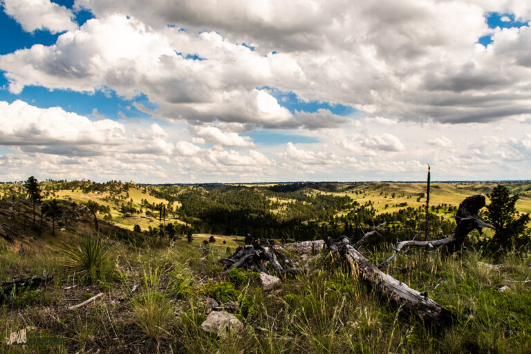 Scenic overlook of pine tree covered hills with cloudy sky