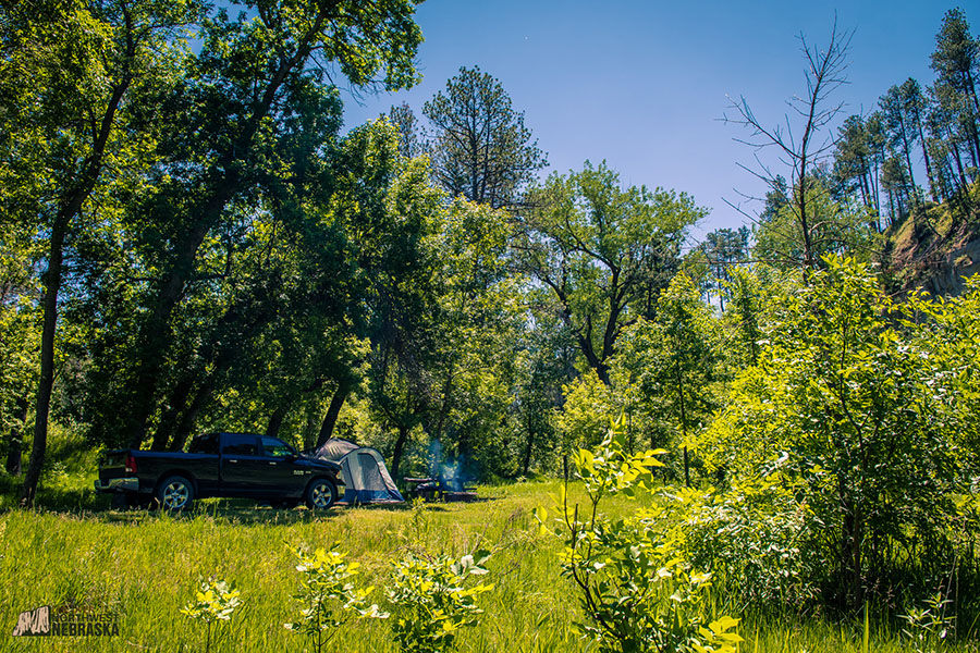 Camp site with trees, tent and pickup