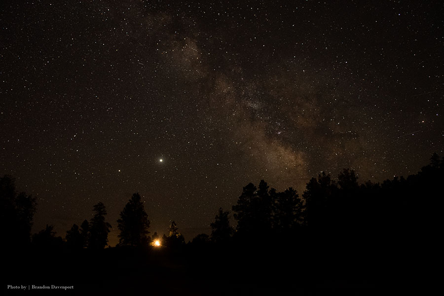 Night sky with trees