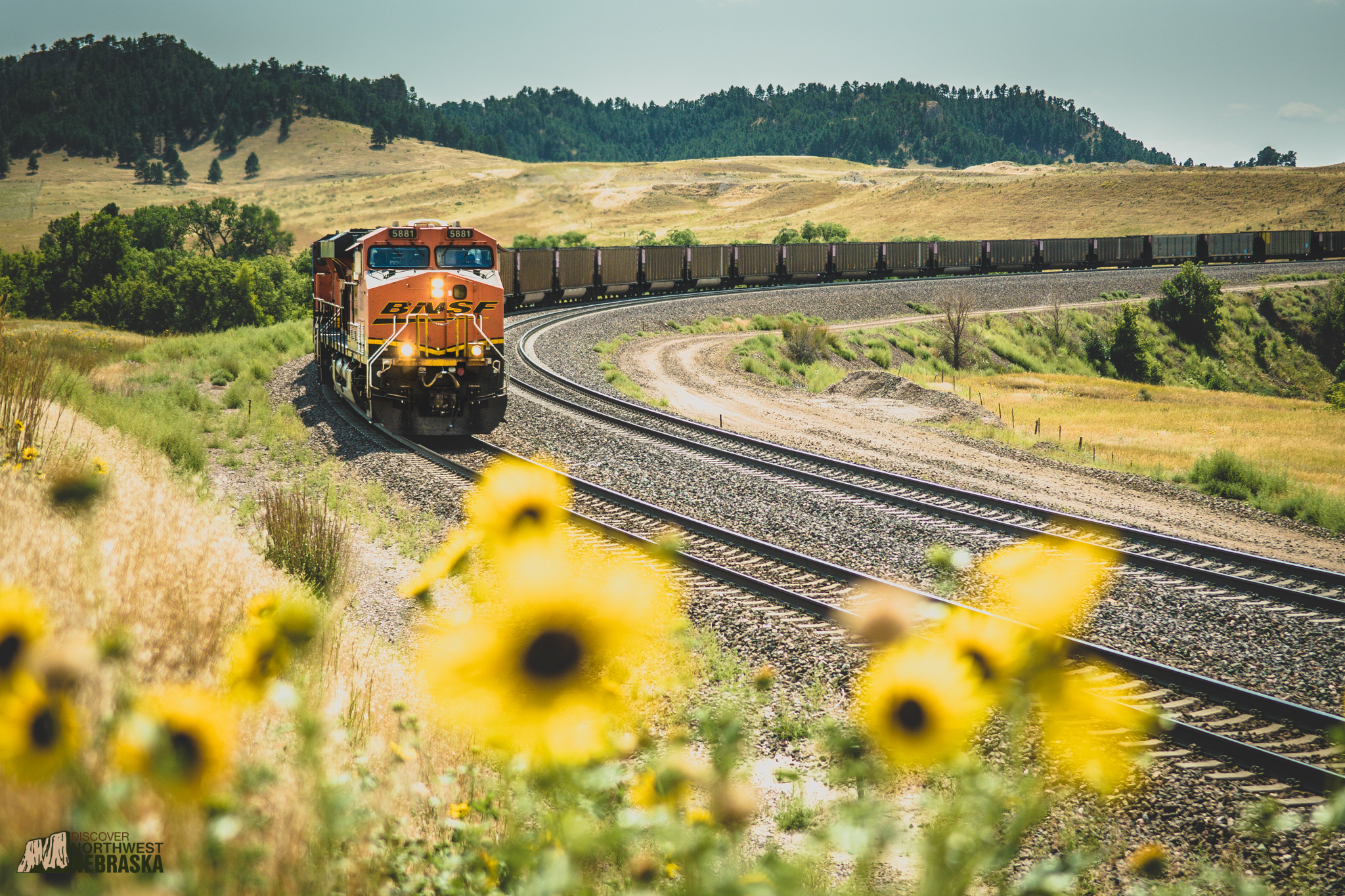 Train with sunflowers
