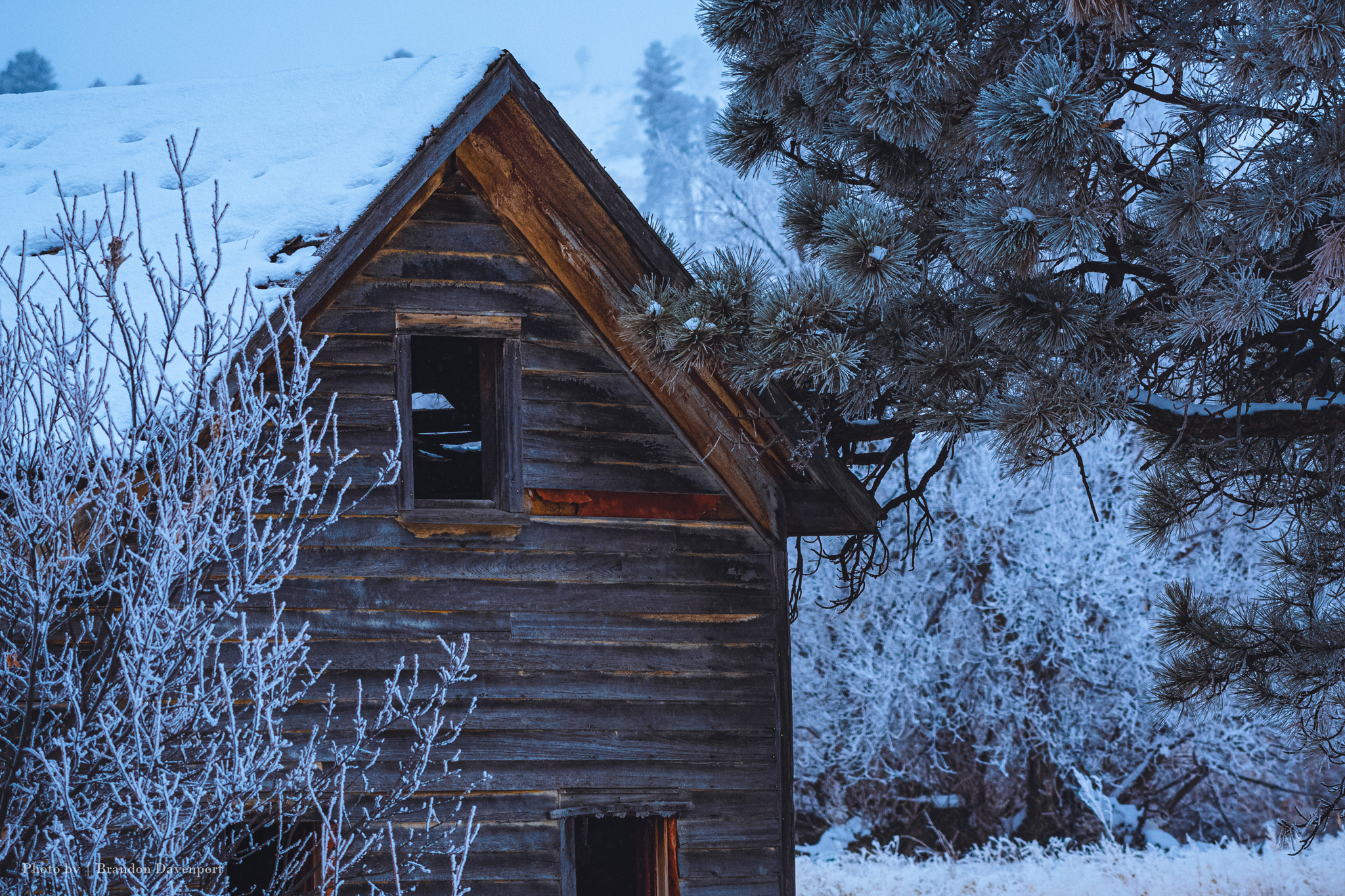 Old building with snow covered roof and trees