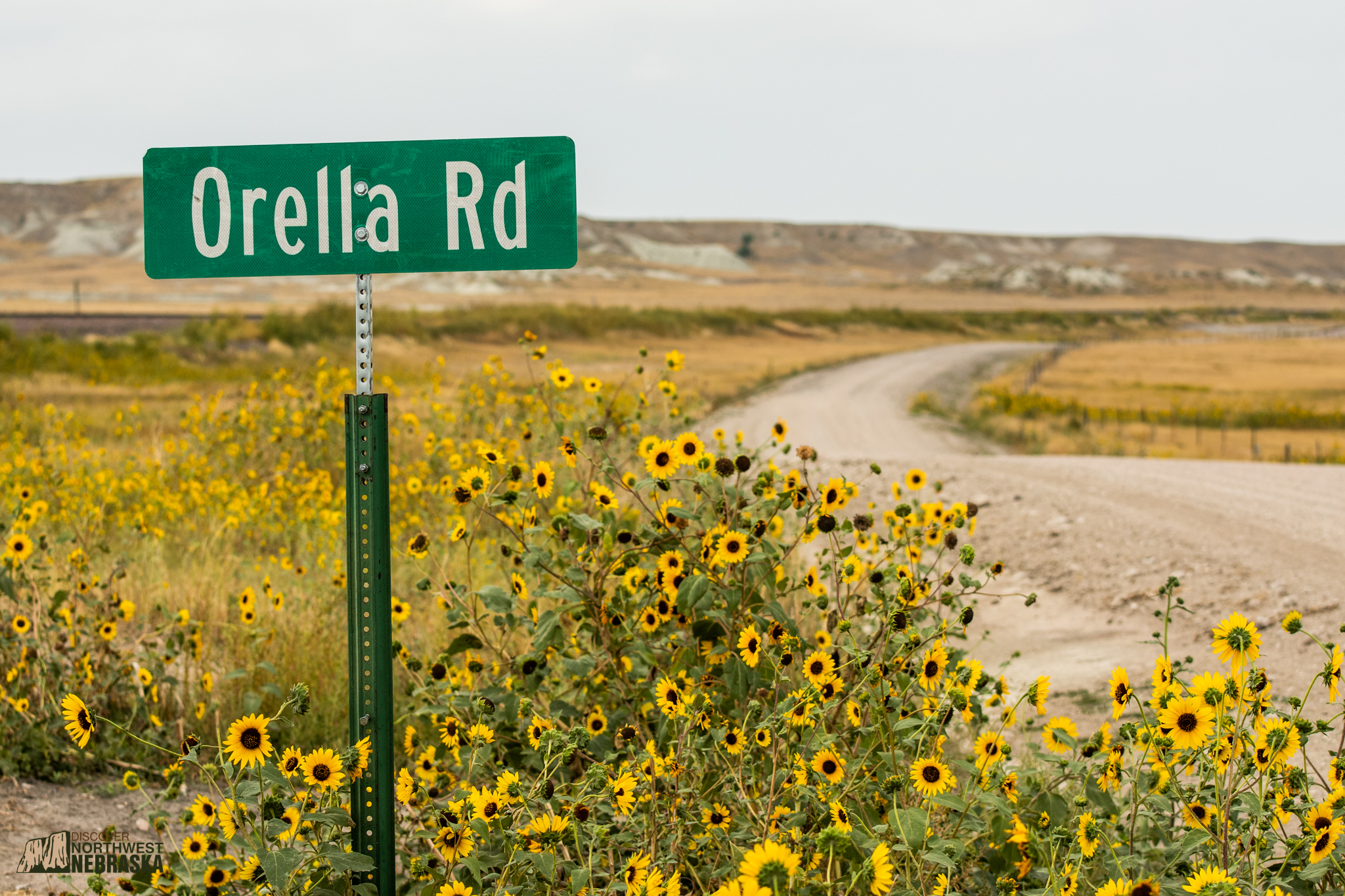 County road with road sign and sunflowers