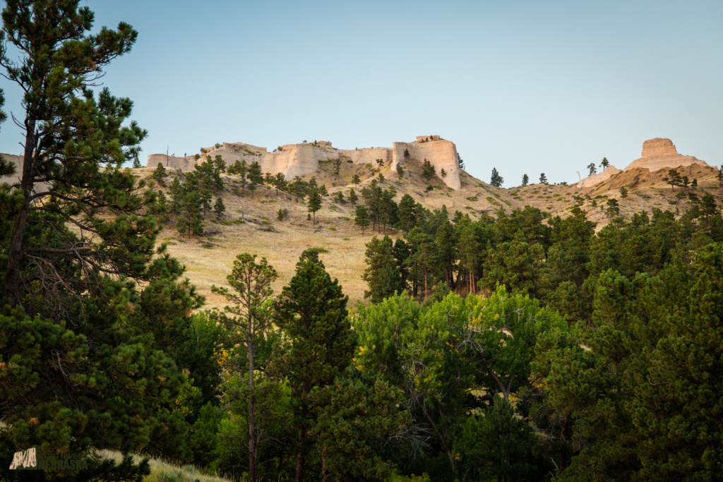 Scenic view of pine trees and buttes