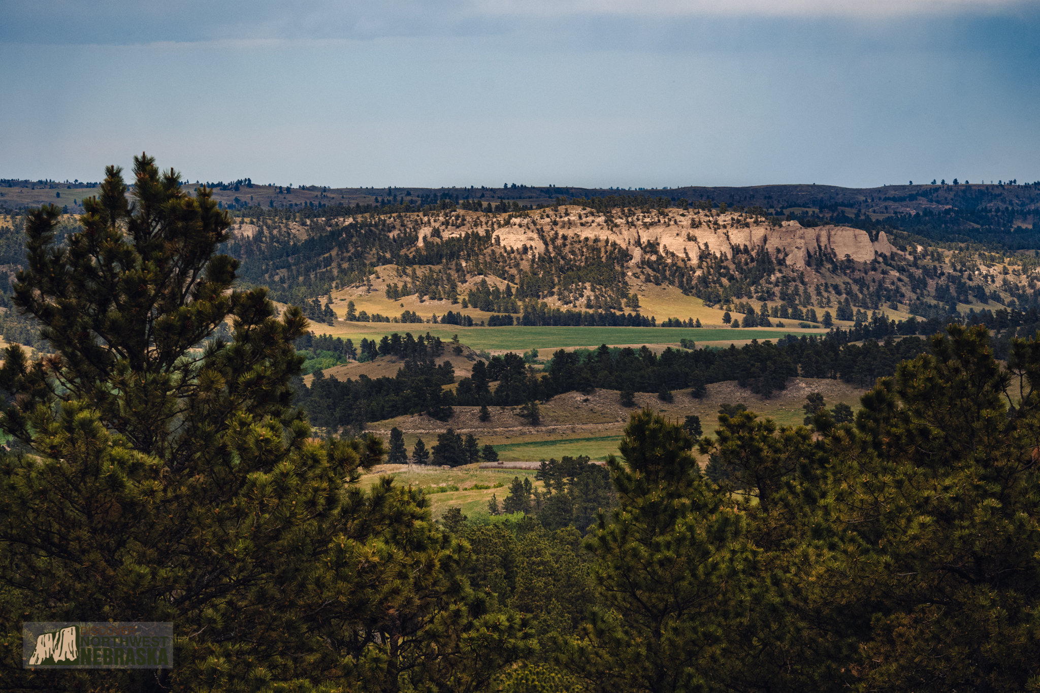 Scenic view of pine trees and buttes