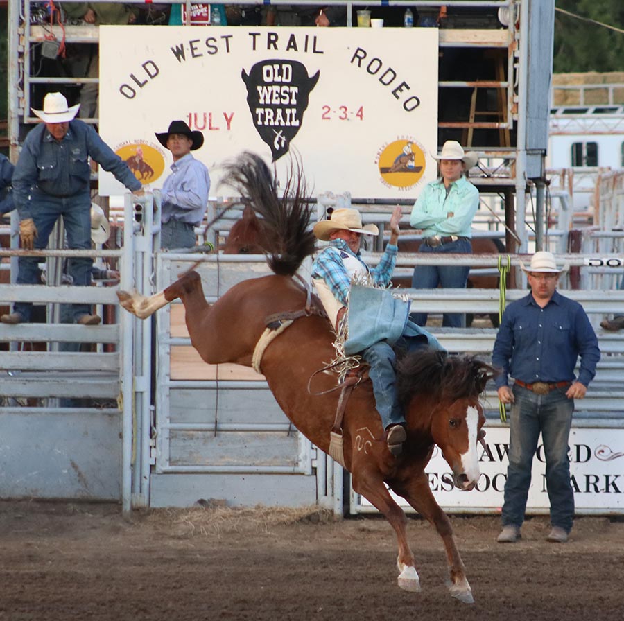 A cowboy rides a bronc at the Old West Trail Rodeo in Crawford
