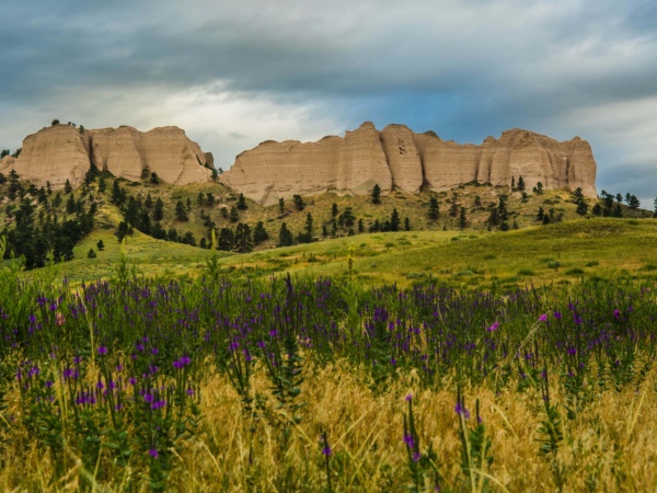 Buttes and flowers