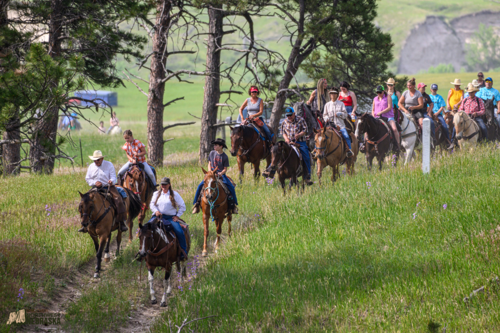 A group of horseback riders on a trail.