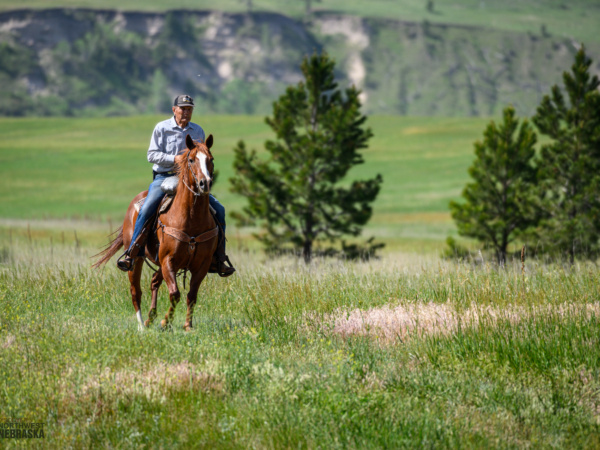 Man riding a horse through the trees