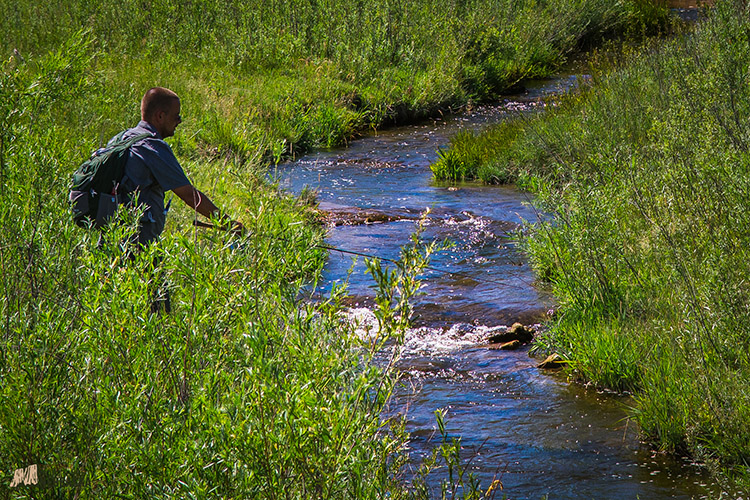 Soldier Creek Stream Fishing