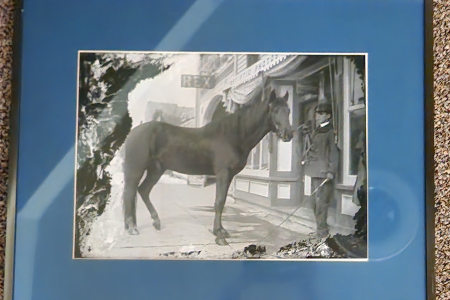 Photo included in the historic Graves Collection of George C. Snow and his horse.