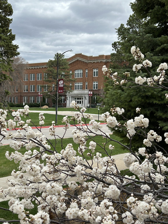 Photo of a Chadron State College Building with flowers