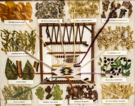 ethnobotany collections at the CSC Herbarium