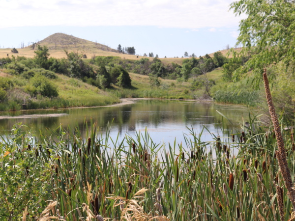 Hudson-Meng pond and hills