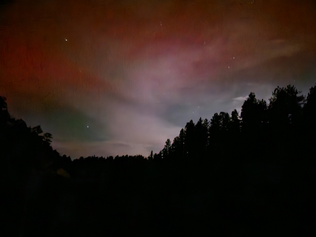 Ponderosa pine trees silhouetted against a night sky