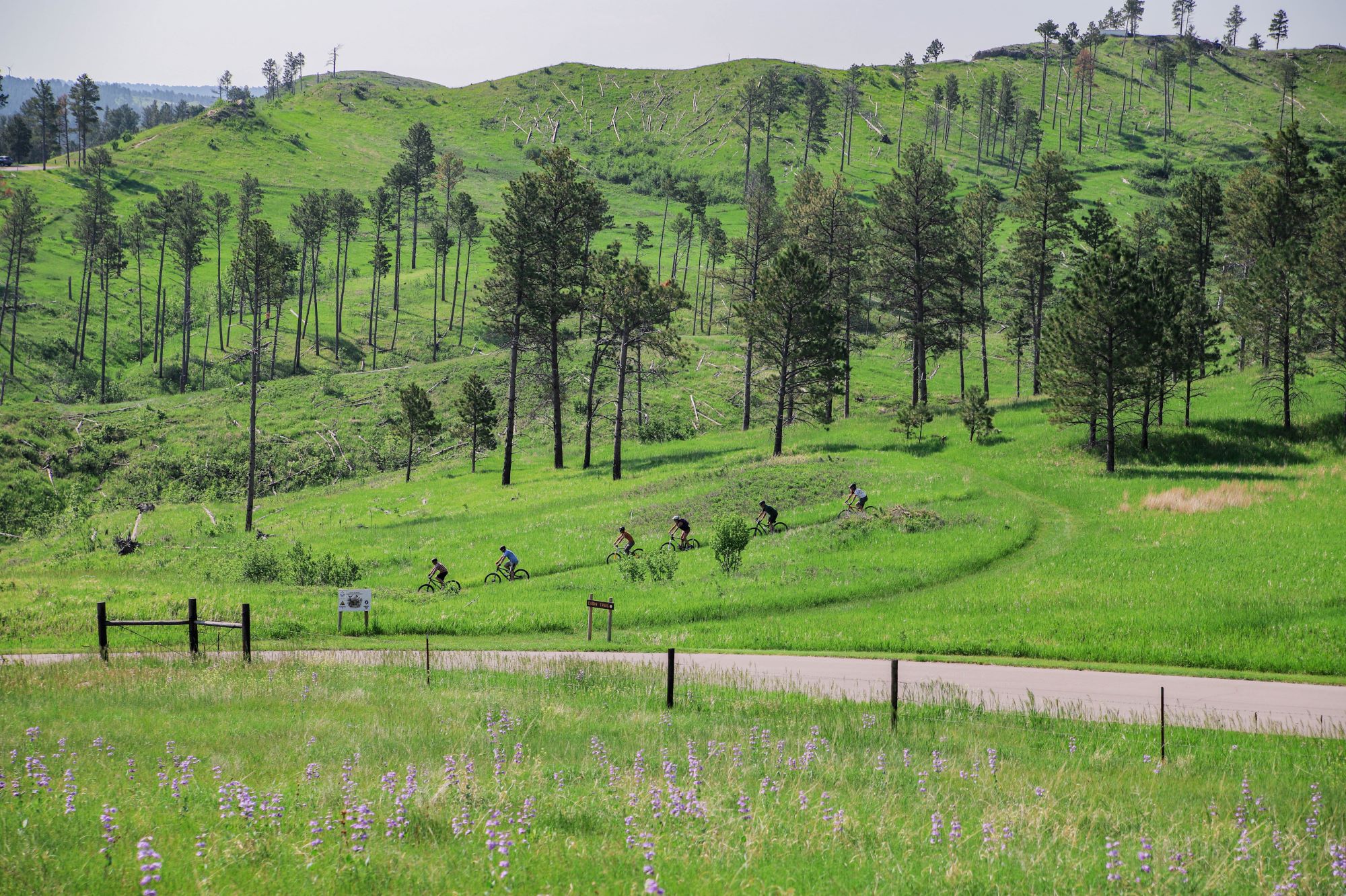 A line of six bike riders pedal down a trail in the distance with a tree covered hill in the background.