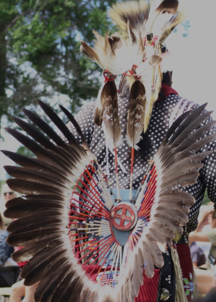 A Native American dancer with his back to the camera